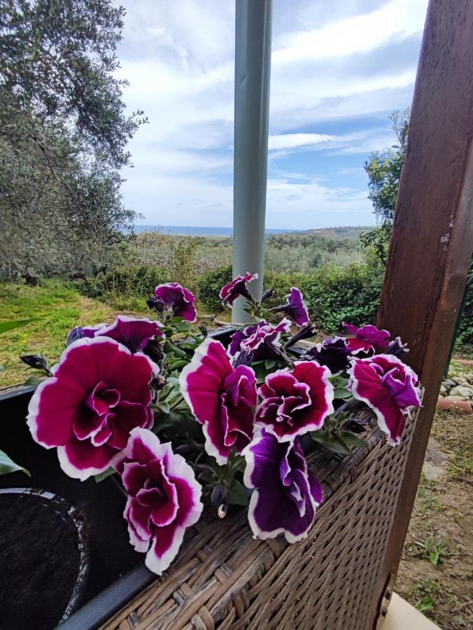 Anatolika Stamatis Paradise Dempla Eksteriør bilde